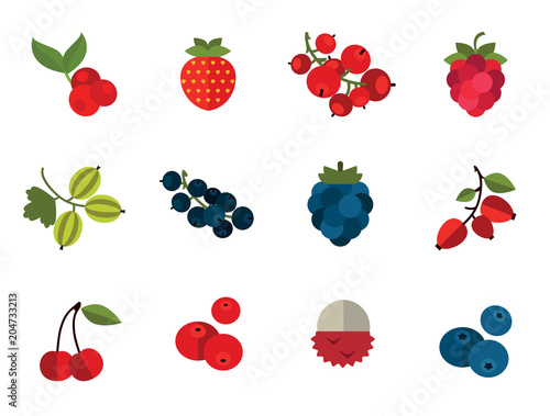 Berry Icon Set. Cranberry Black Currant Blackberry Blueberry Dogrose Gooseberry Red Currant Raspberry Strawberry Cowberry Cherry 