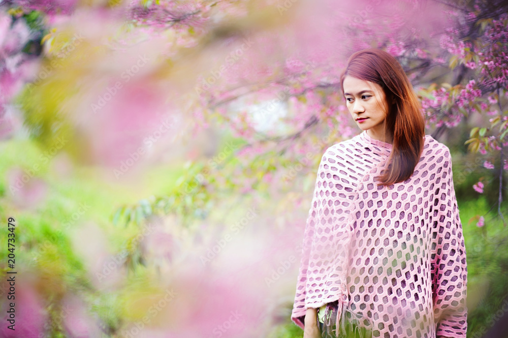 Beautiful Cherry Blossom with young woman at Khun Wang national park chiang mai in thailand Beautiful Cherry Blossom with young woman at Khun Wang national park chiang mai in thailand