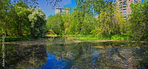 Abandoned wild pond with mud in the middle of the city park 