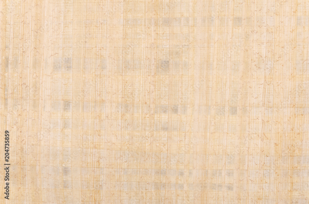 Papyrus surface. Material similar to thick paper, used in ancient time as a writing surface. Made of the pith of the papyrus plant, Cyperus papyrus. Background. Photography from above. Papyrus surface. Material similar to thick paper, used in ancient time as a writing surface. Made of the pith of the papyrus plant, Cyperus papyrus. Background. Photography from above.