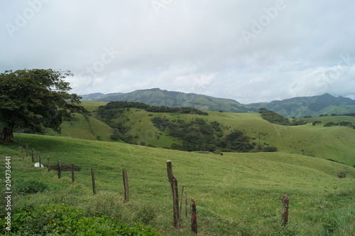 costa rica shire hills