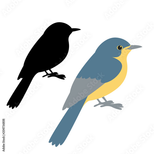 blue flycatcher bird  vector illustration flat style   silhouette