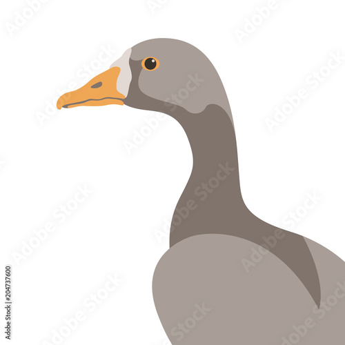 goose bird vector illustration flat style profile