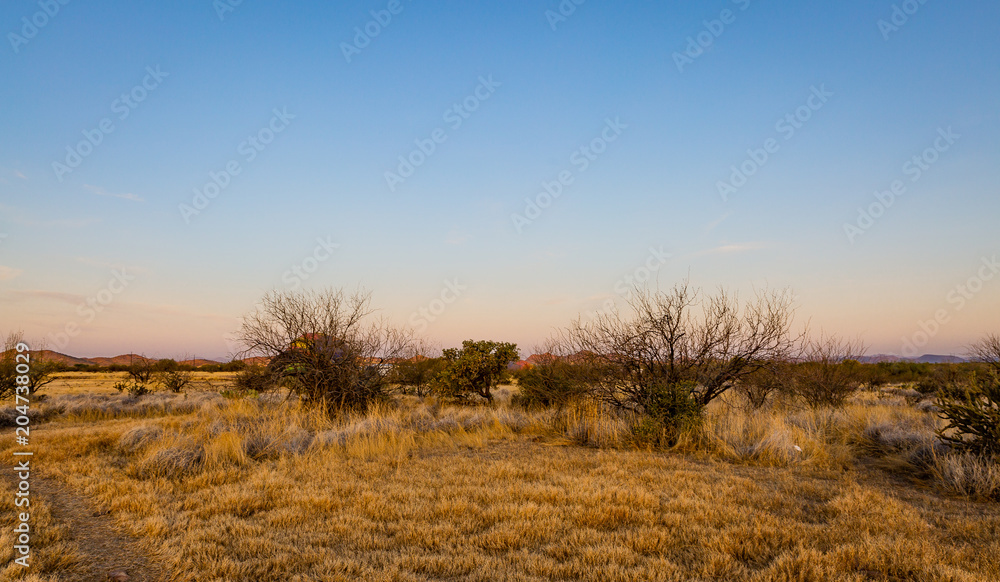 The Sonoran Desert in the southwest US is unique, open, full of various cactus, warm climate, hikers and outdoor enthusiasts explore the vast land The Sonoran Desert in the southwest US is unique, open, full of various cactus, warm climate, hikers and outdoor enthusiasts explore the vast land