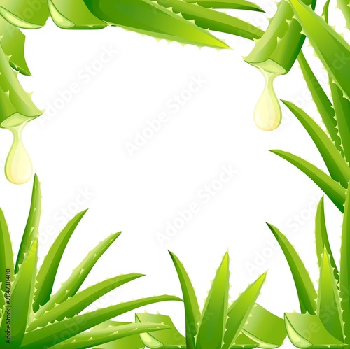 Pattern of green aloe vera plant. Cut pieces of aloe vera. Serum and collagen natural extracts vitamin for skin care cosmetic. Vector illustration isolated on white background