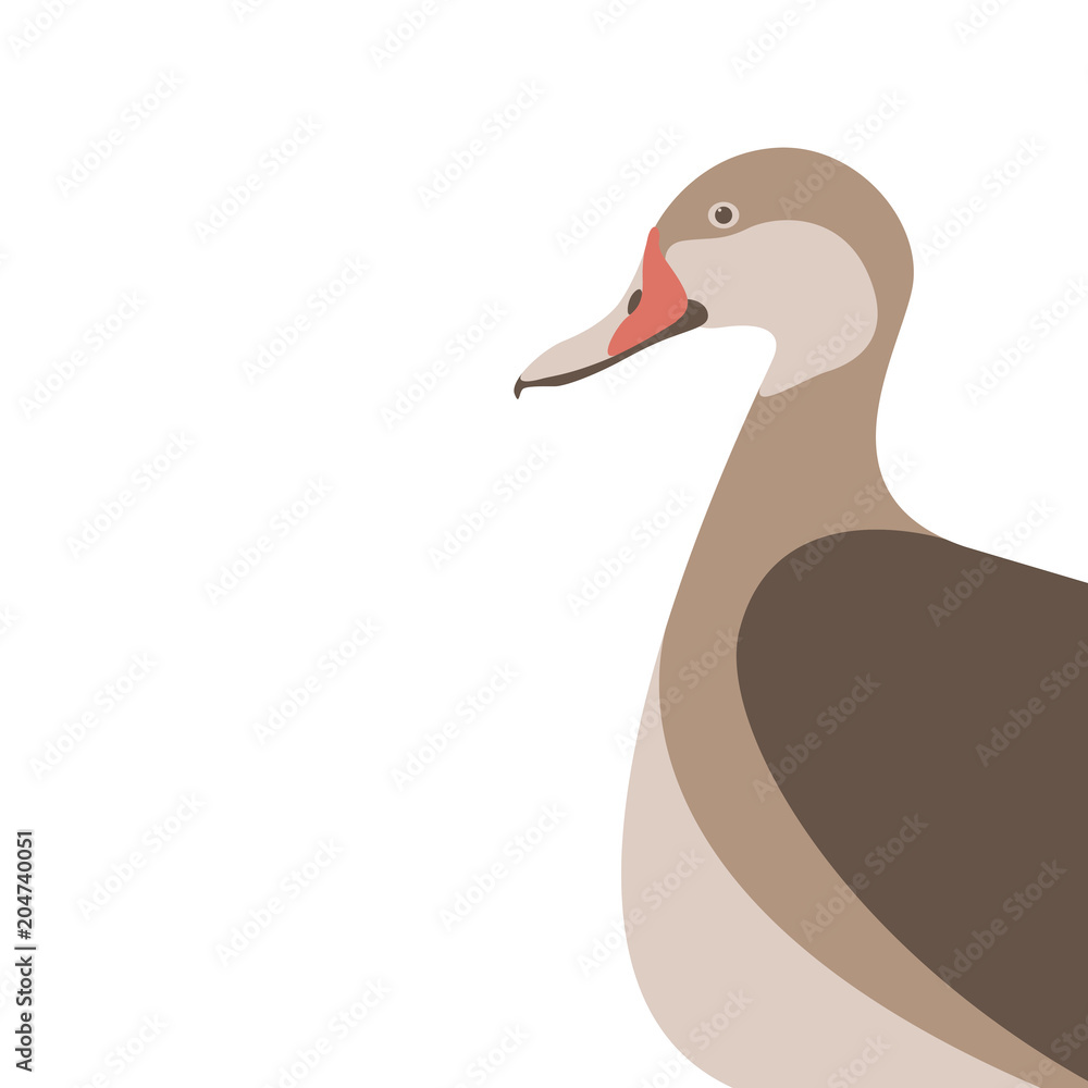 duck bird vector illustration flat style profile duck bird vector illustration flat style profile