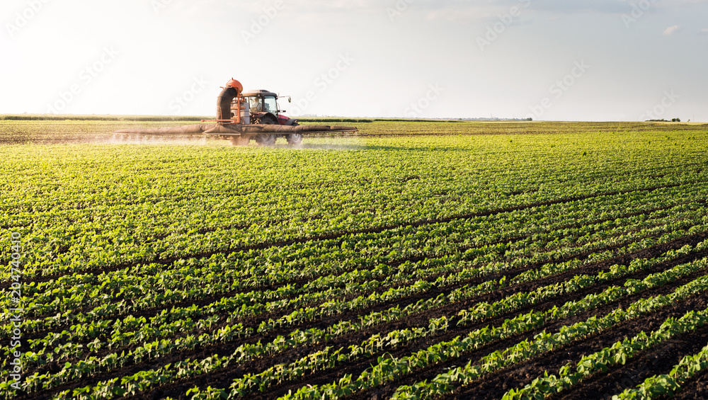 Fototapeta premium Tractor spraying soybean field