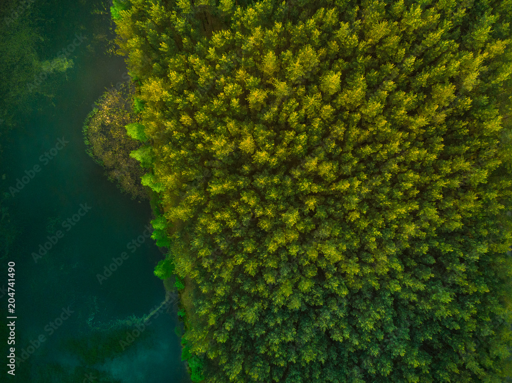 Aerial top down view over forest and lake Aerial top down view over forest and lake