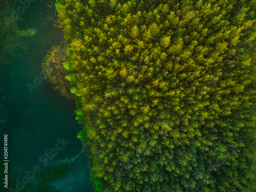 Aerial top down view over forest and lake © marcin jucha