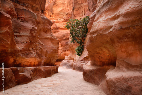 The Sig. Main entrance to the ancient city of Petra. Southern Jordan