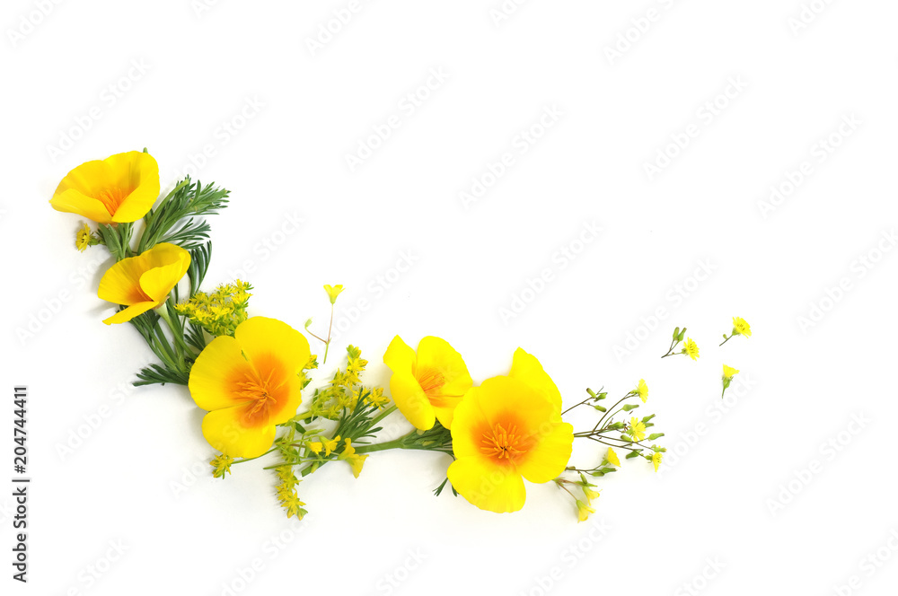 Fototapeta premium yellow floral background