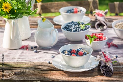 Tasty breakfast with berries and oat flakes in garden
