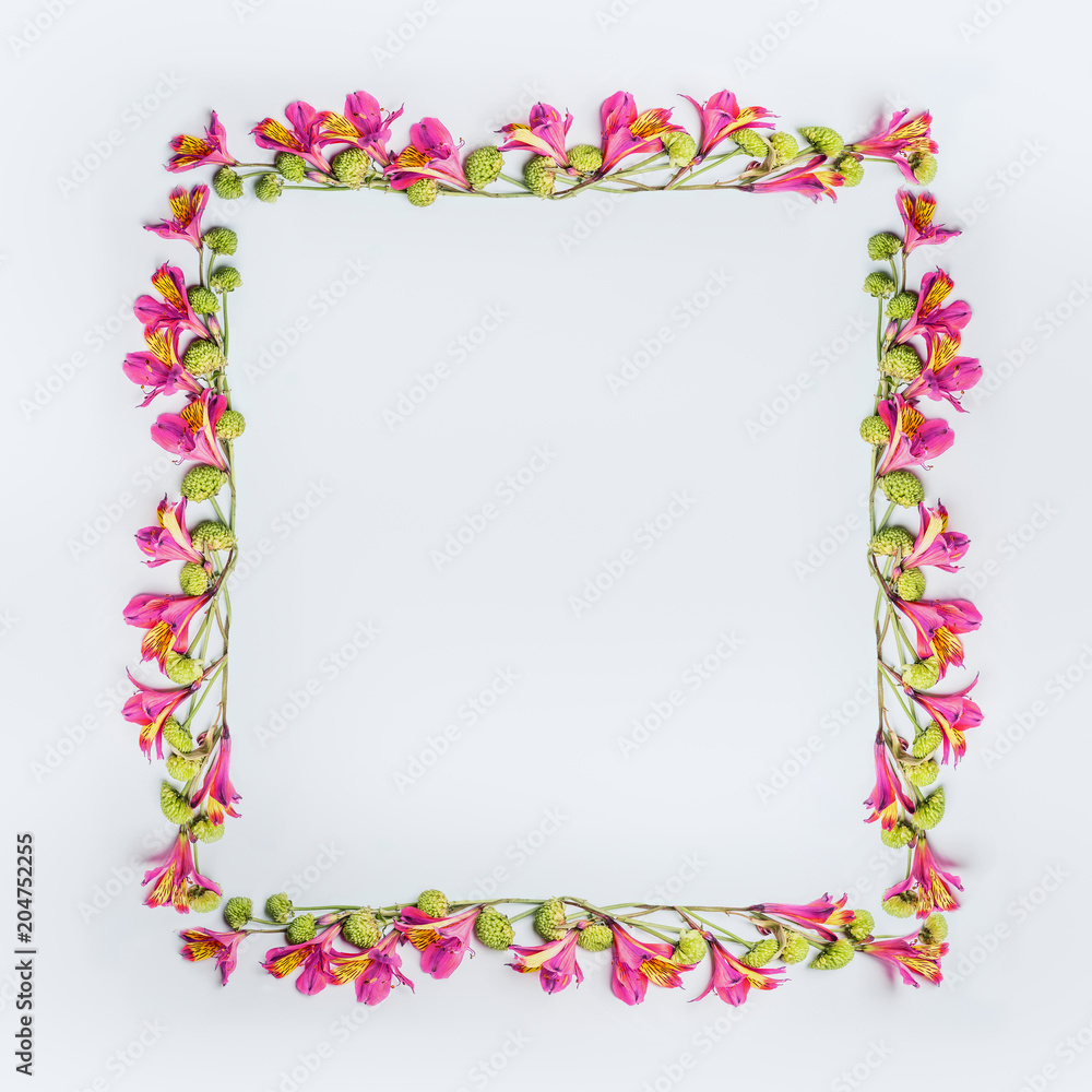 Creative floral design frame layout with pink and green exotic flowers on white background, top view Creative floral design frame layout with pink and green exotic flowers on white background, top view