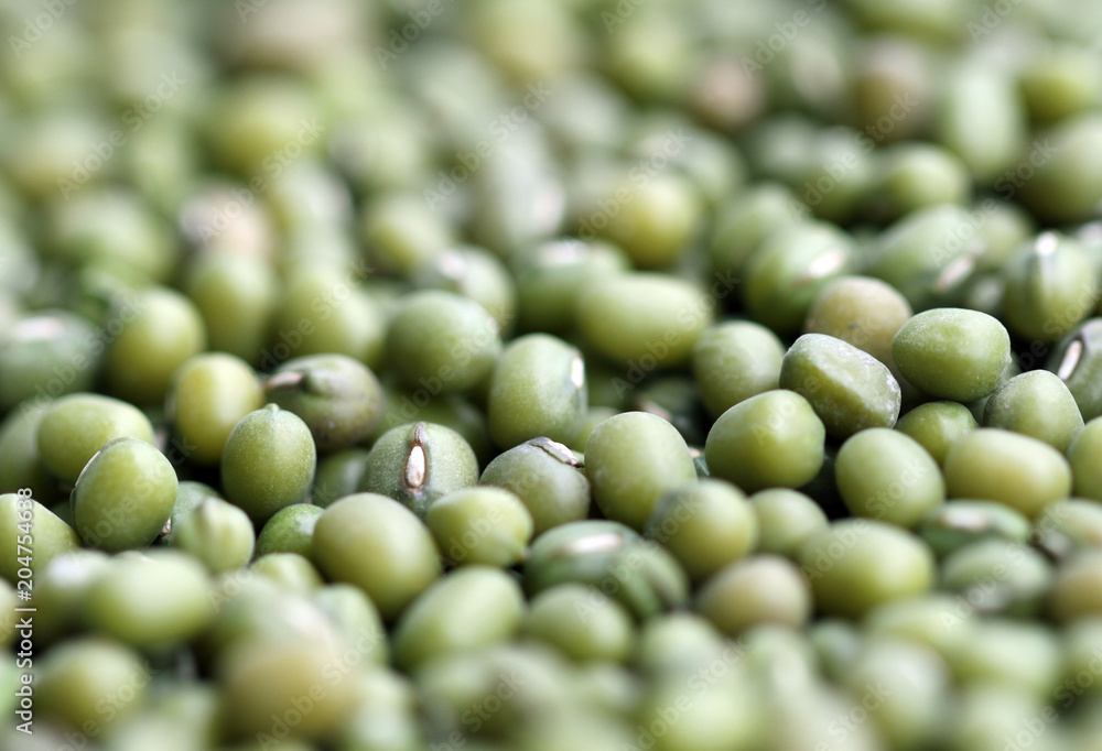 mung bean seeds for germination