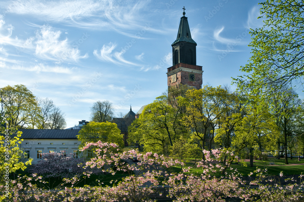 Turku Cathedral at spring with cherry blossoms and green trees in Turku, Finland