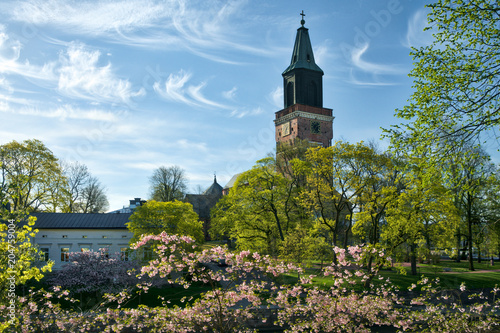 Turku Cathedral at spring with cherry blossoms and green trees in Turku, Finland photo