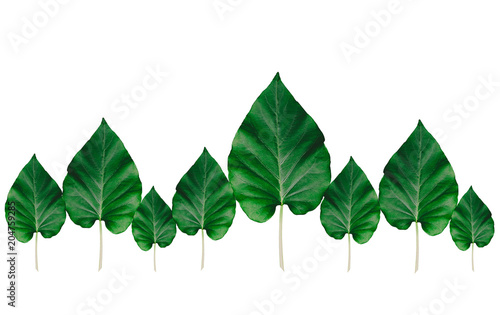 Creative layout made of leaves with paper card note.Nature concept