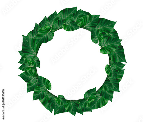 Creative layout made of leaves with paper card note.Nature concept