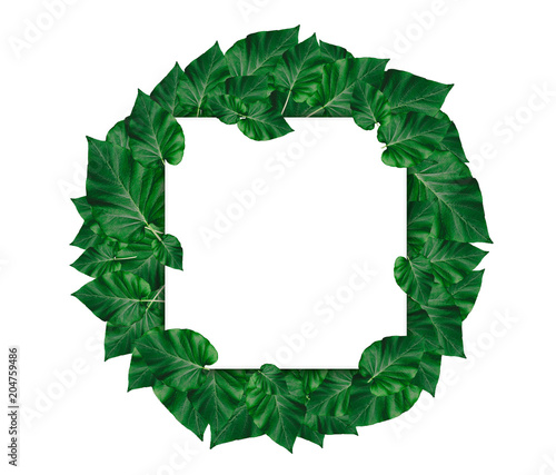 Creative layout made of leaves with paper card note.Nature concept