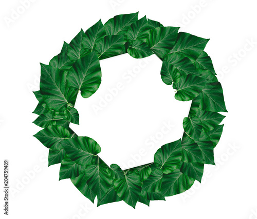 Creative layout made of leaves with paper card note.Nature concept