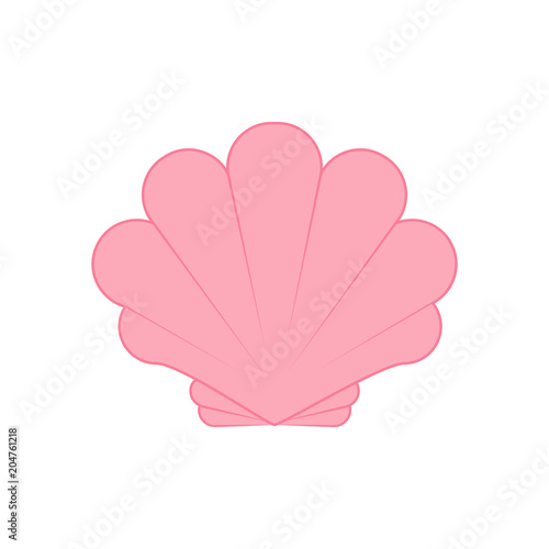 Sea shell illustration