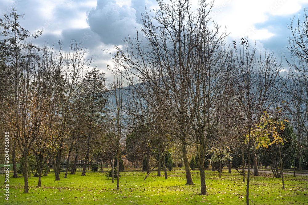 Fototapeta premium Beautiful Nature - Spanga - Turkey