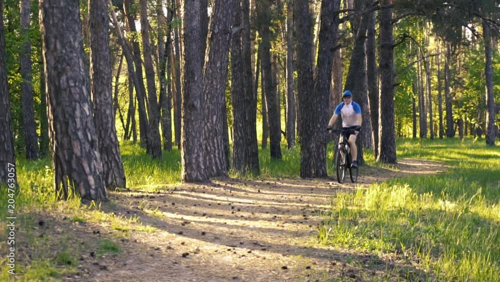 man cyclist rides forest paths man cyclist rides forest paths