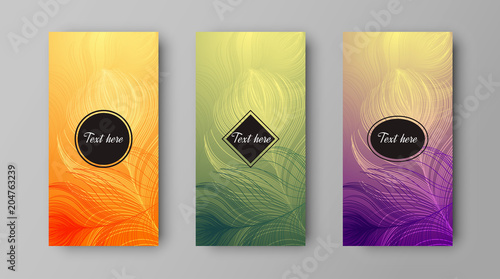 Vector design of leaflets with print of colorful peacock feathers