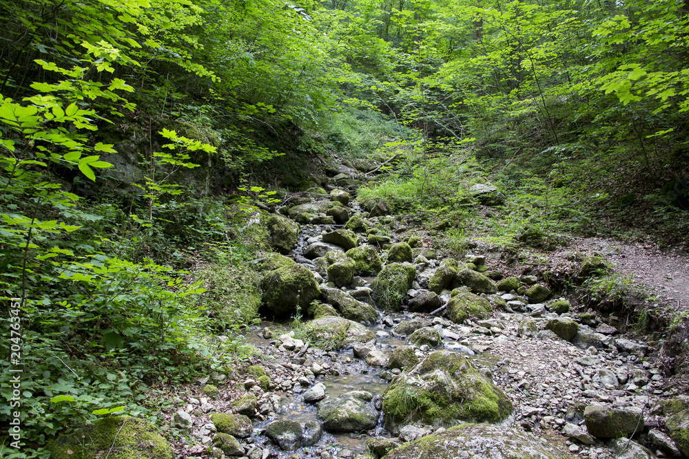 Flusslauf in den Alpen Flusslauf in den Alpen