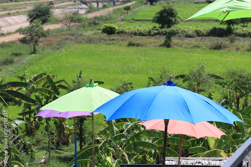 Close up big colorful umbrellas in the banana garden