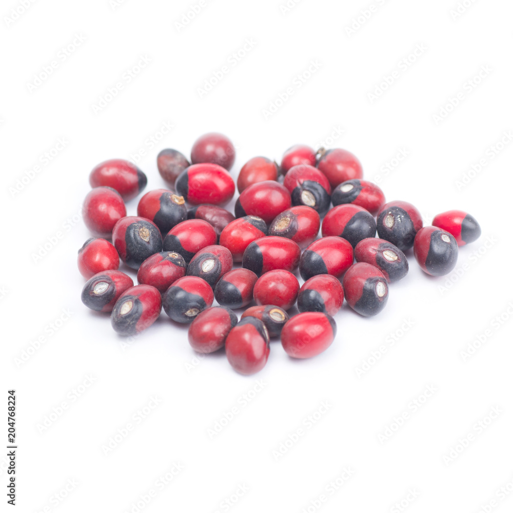 Thai herb name Abrus precatorius L. or Jequirity bean, American pea
