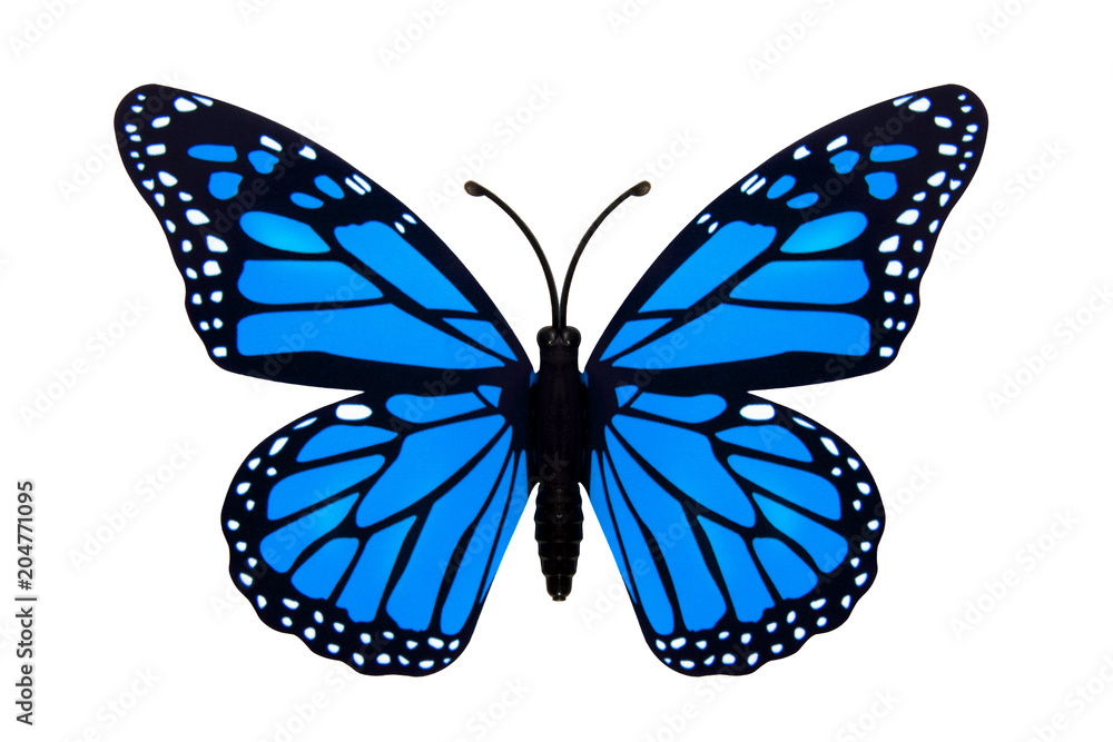 Fototapeta premium Beautiful butterfly
