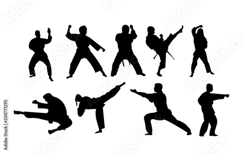 Silhouettes of people doing karate stances and punches photo