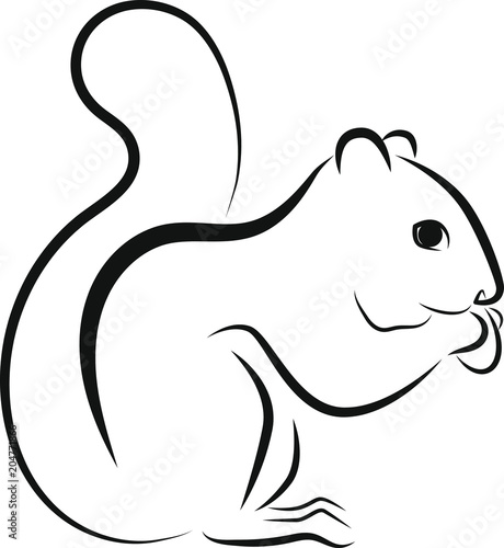 graphic stylized linear black squirrel on a white background in profile with a nut