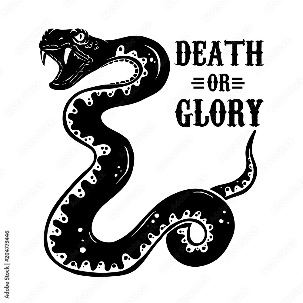 Snake illustration on white background. Design element for poster, t shirt, emblem, sign.