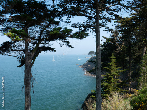 Fenêtre de pin sur mer