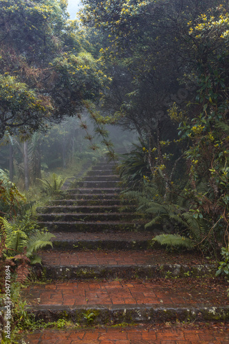 escalas © Fabian Condia