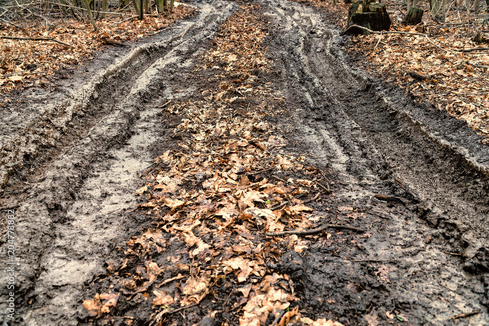 Fototapeta premium Dirty autumn road in forest