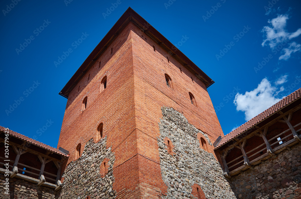 Castle in the town of Lida