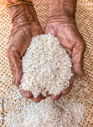 Картината върху платно very old senior woman hands wrinkled skin with rice