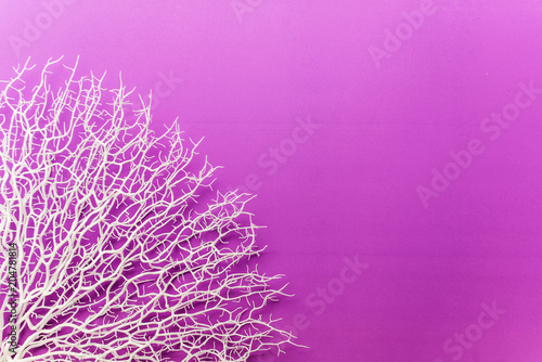 artificial coral decorating on color paprt texture background