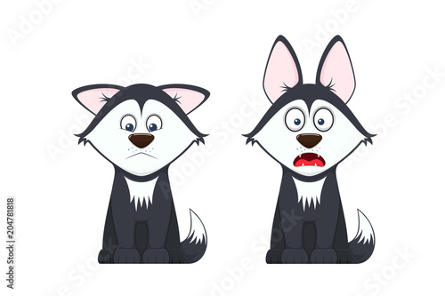 Beautiful stylish dogs with emotions of fear, resentment and grief.