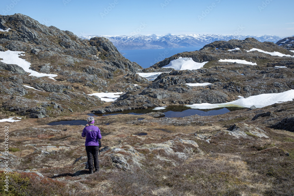 Mountain hike to Mofjellet in Northern Norway