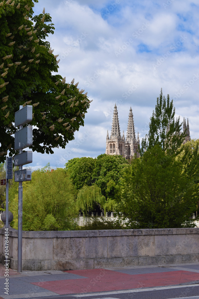 Parques verdes de fondo con una catedral.