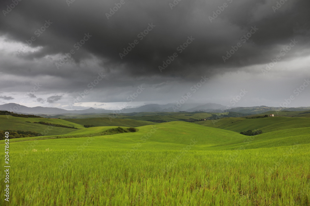 Summer landscape in Tuscany, Italy, Europe Summer landscape in Tuscany, Italy, Europe