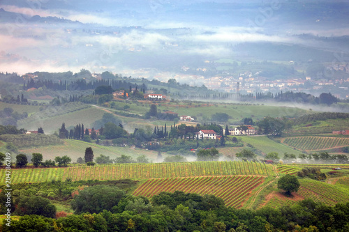 Foggy summer landscape in Tuscany  Italy  Europe