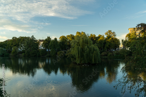 Water reflections