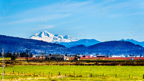 Farmland near the Matsqui Dyke at the towns of Abbotsford and Mission in British Columbia, Canada with Mount Baker in the background photo