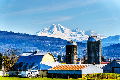 The snow covered  top of Mount Baker dominant over a Fraser Valley farm seen from the Matsqui Dyke at the towns of Abbotsford and Mission in British Columbia photo