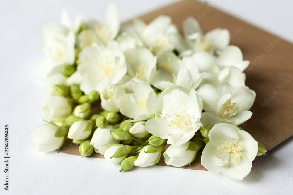 Sprigs of jasmine in postal envelope on white background close up. copy space. spring mood. mother's day. the freshness of flowers.The inscription on the letter -happy. DOF focus. Sprigs of jasmine in postal envelope on white background close up. copy space. spring mood. mother's day. the freshness of flowers.The inscription on the letter -happy. DOF focus.